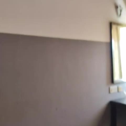 Collection O Immaculate Classic Inn - Traveller Photo