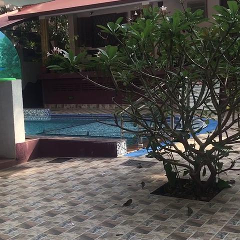 Harbor Court Beach Resort - Traveller Photo
