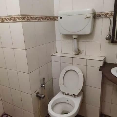 Hotel Shree Damodar Regency - Traveller Photo