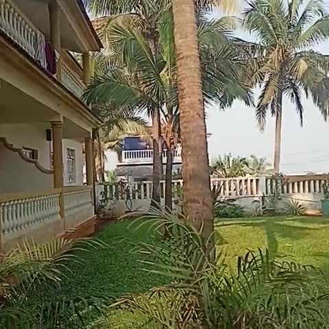 Joy Guest House - Traveller Photo