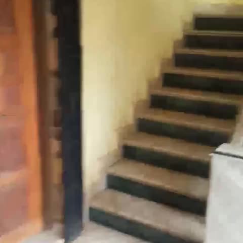 Morjim Guest House - Traveller Photo