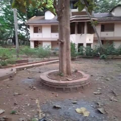Old Goa Residency - Traveller Photo