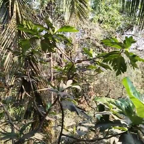 Orchid Guest House  - Traveller Photo