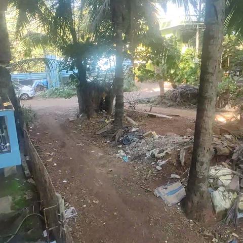 Queen of Queen's, Calangute - Traveller Photo