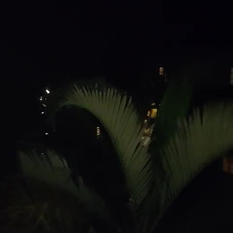 Riverside Regency Resort - Traveller Photo