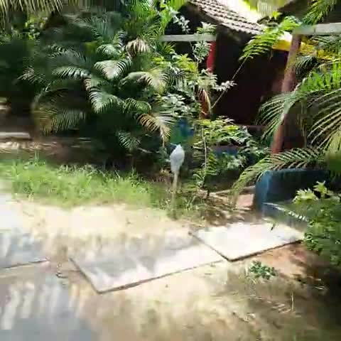 Secret Garden Arambol | Rooms & Wi-Fi - Traveller Photo