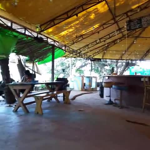 That Crazy Hostel - Traveller Photo