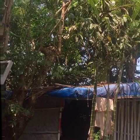 The Lost Tribe Hostels - Traveller Photo