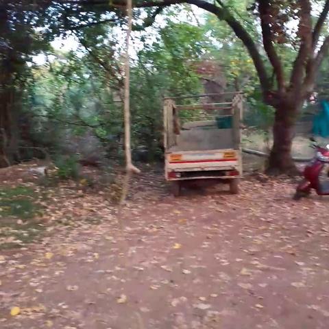 Yellow Jumbo Anjuna - Traveller Photo