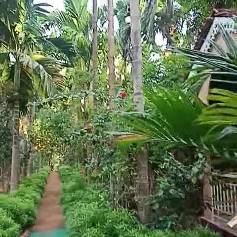 EVERGREEN FARM HOUSE - Traveller Photo