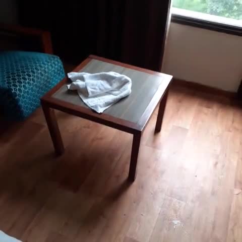 HOTEL ARUSHAN GRAND - Traveller Photo
