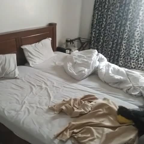 Angel NRI Hotel - Traveller Photo