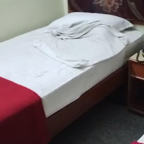 Hotel Royal Swagruha - Traveller Photo