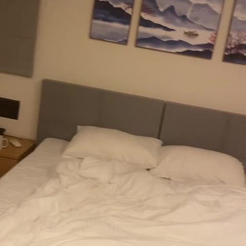 The Habitare Hotel - Traveller Photo