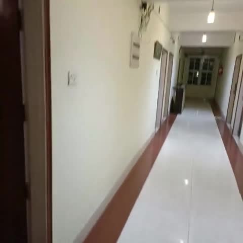 Hotel Bluemoon - Traveller Photo