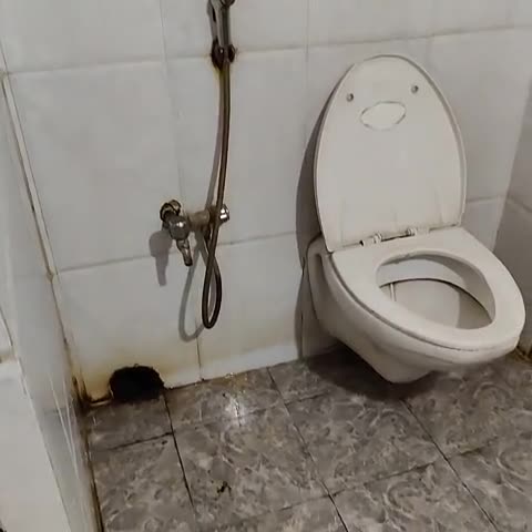 Hotel Prince - Traveller Photo