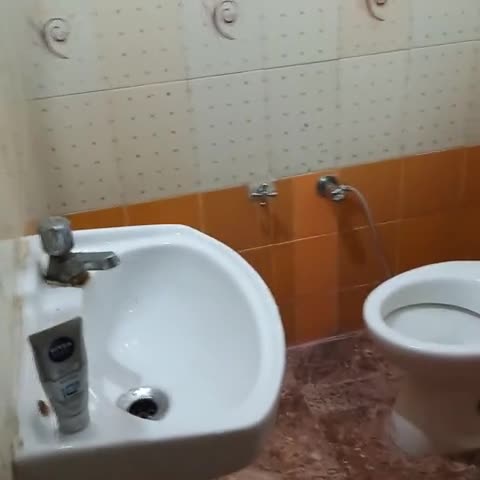Hotel Mahima - Traveller Photo