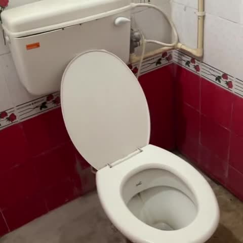 Hotel O New Urvashi - Traveller Photo