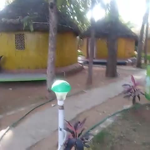 Sunny Guest House - Traveller Photo