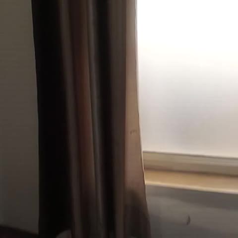 Hotel ANAND, HARIDWAR - Traveller Photo