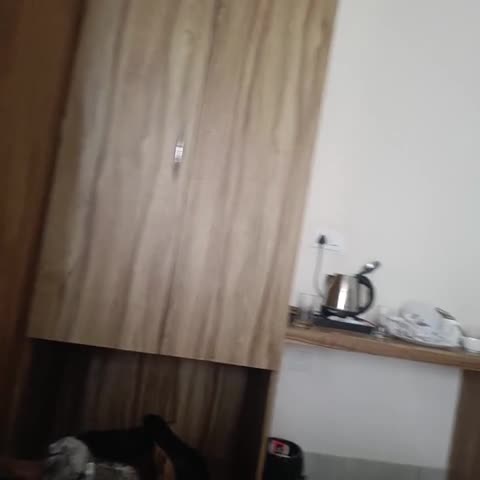 Hotel Divine Aura - Traveller Photo
