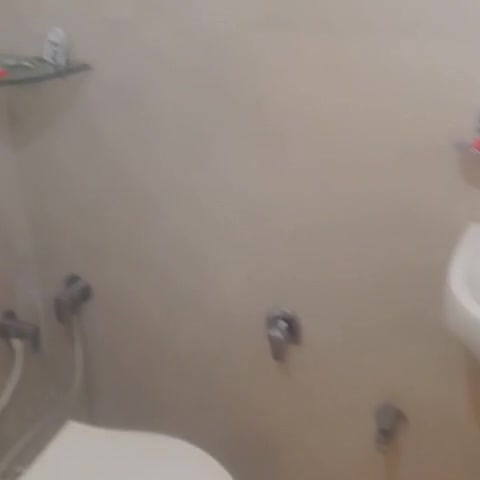 HOTEL SHREE - Traveller Photo