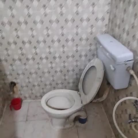 Hotel Sant Kripa Palace - Traveller Photo
