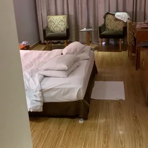BEST WESTERN Ashoka - Traveller Photo