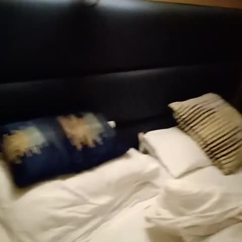 Bikanervala Boutique Hotel - Traveller Photo