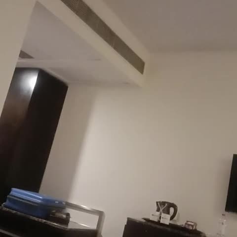 Minerva Grand- Kondapur - Traveller Photo