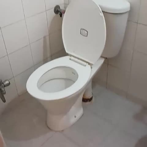Our Nest - Traveller Photo