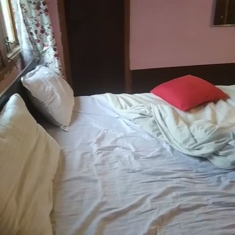 Hotel O Mint Leaves Near Alcazar Mall - Traveller Photo