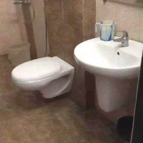 Hotel O JNTU college Near LULU mall, KPHB Colony. - Traveller Photo