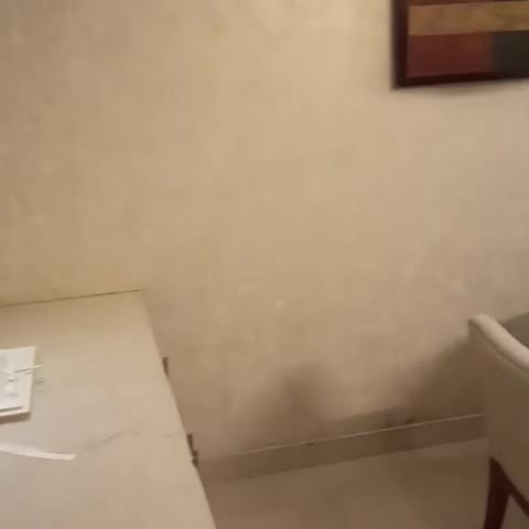 The Altruist Business Hotel (Hitech) - Traveller Photo