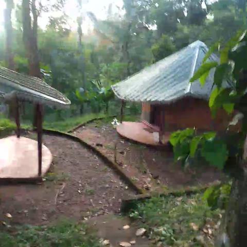 Punarjani Ayurvedic Resorts - Traveller Photo