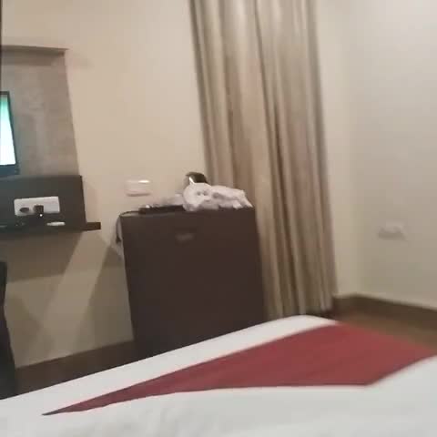 Hotel Konark Inn - Traveller Photo