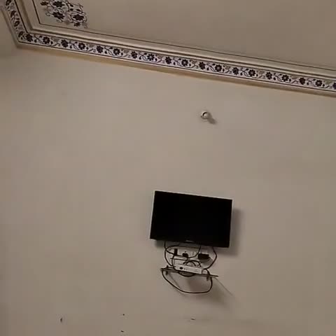Hotel Nahar Garh Palace - Traveller Photo