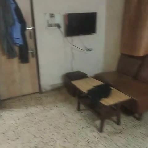 Hotel Sant Plaza - Traveller Photo