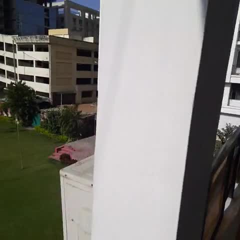 Hotel Shree - Traveller Photo