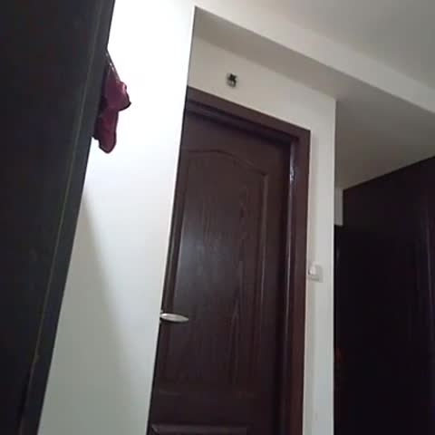Super Townhouse Divya Palace - Traveller Photo