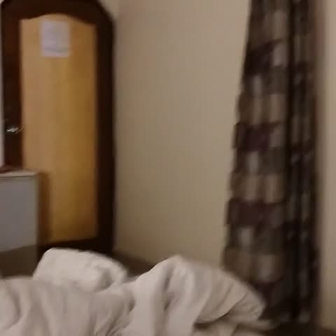 Hotel Shikhar Palace - Traveller Photo