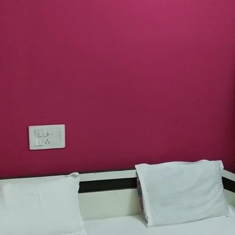 Hotel Golden Palace, Jagdalpur - Traveller Photo