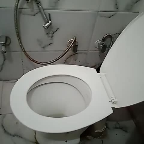 Hotel O Ansh Plaza - Traveller Photo