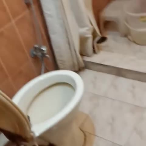 Super Townhouse Girdhar Marg Jaipur Formerly Hotel Srida - Traveller Photo