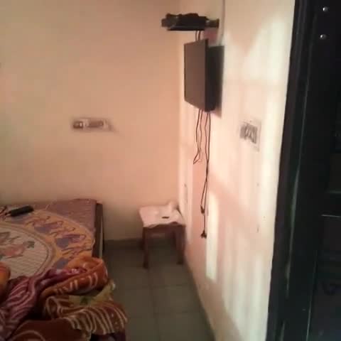 Hotel Jairam palace  - Traveller Photo