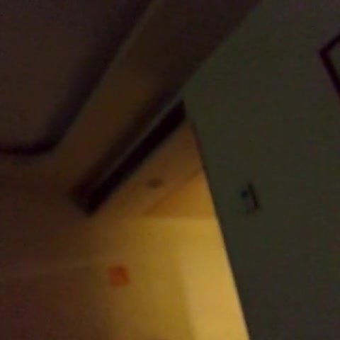 Hotel Kapish Smart- All Pure Veg. - Traveller Photo