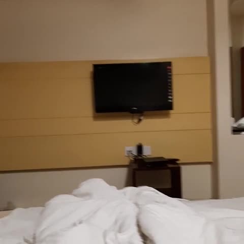 Hotel Nangis Pride - Traveller Photo