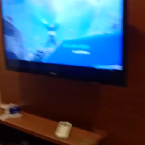 Hotel Paradise Continental  800 Meters from Railway Station - Traveller Photo