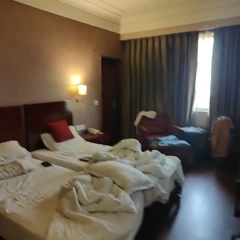 Vesta Maurya Palace - Traveller Photo