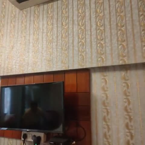 Virasat Mahal - Jaipur City Centre Hotel - Traveller Photo